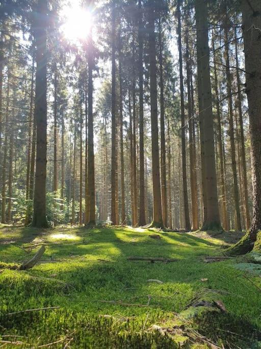 Gite N° 20, En Pleine Nature, Frontalier Signy-le-Petit Luaran gambar